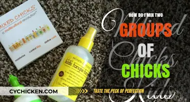 Successfully Mixing Chick Groups: Tips for a Harmonious Brooder Introduction