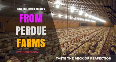 Easy Steps to Order Fresh Chicken from Perdue Farms Online