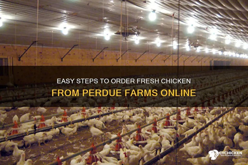 how do i order chicken from perdue farms