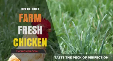 Where to Buy Farm Fresh Chicken: A Simple Ordering Guide