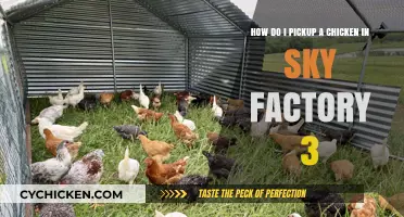 Picking Up Chickens in Sky Factory 3: A Guide