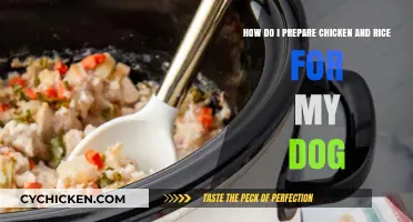 Preparing Chicken and Rice for Your Dog at Home
