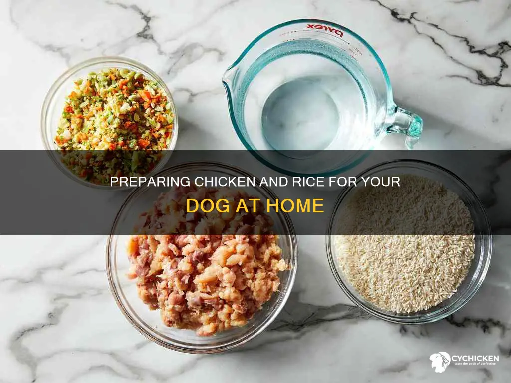 how do i prepare chicken and rice for my dog