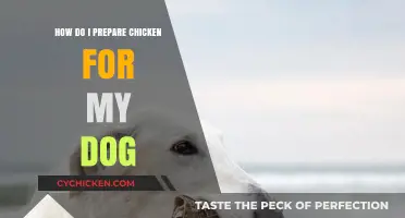 Safe Chicken Prep for Dogs: A Step-by-Step Guide for Pet Owners