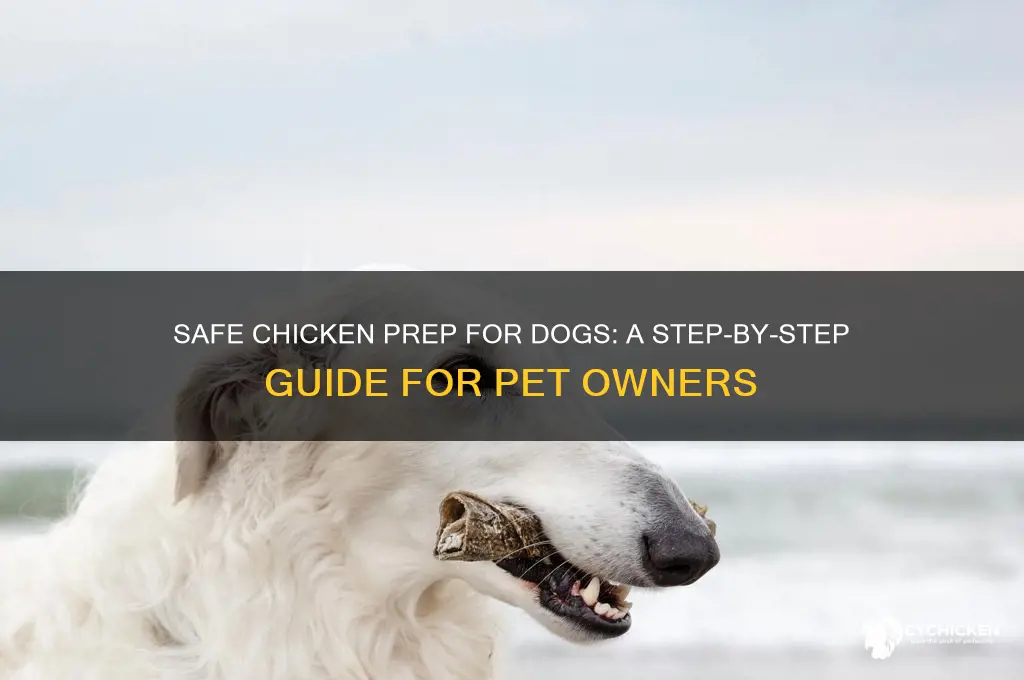 how do i prepare chicken for my dog