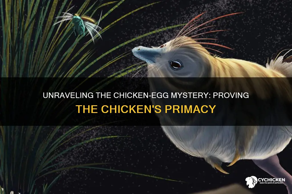 how do i prove the chicken came first