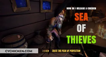 Freeing Your Feathered Friend in Sea of Thieves