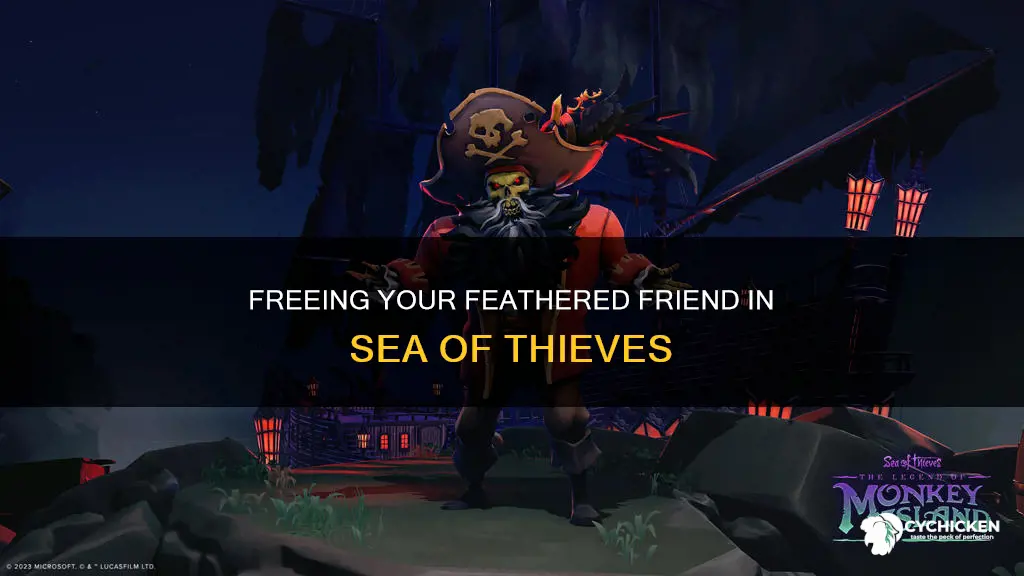 how do i release a chicken sea of thieves