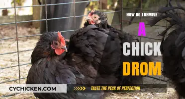 How to Safely Remove a Chick from a Dangerous Situation