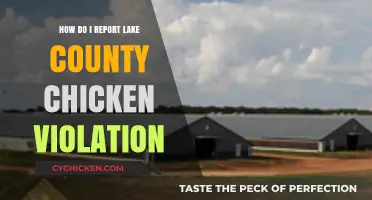 Reporting Lake County Chicken Violations: A Step-by-Step Guide