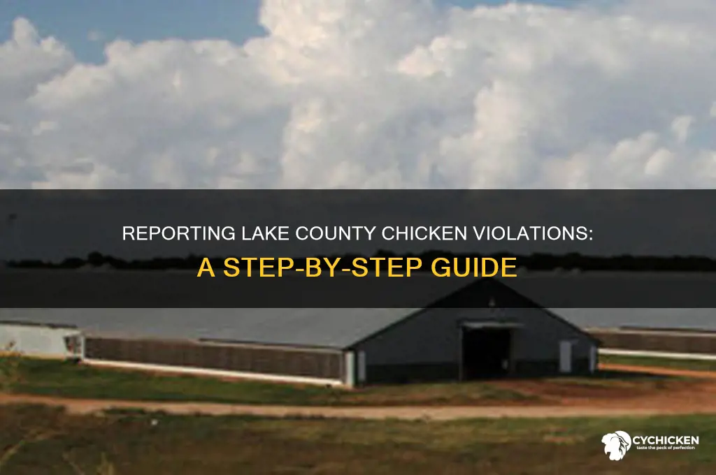 how do i report lake county chicken violation