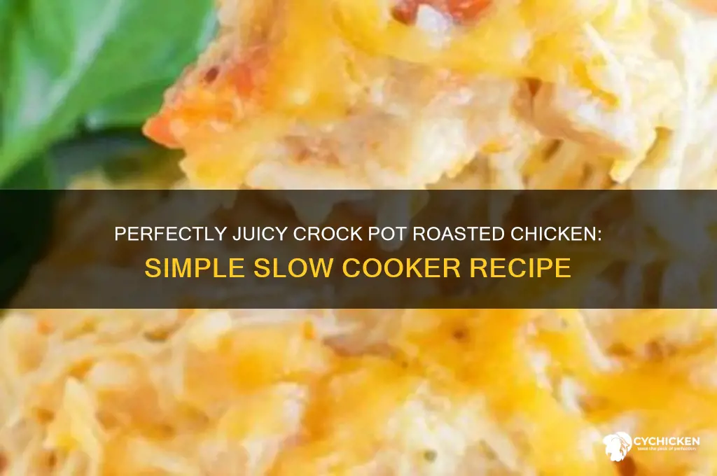 how do i roast a chicken in a crock pot