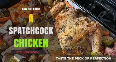 Mastering Spatchcock Chicken: Easy Roasting Tips for Juicy Perfection