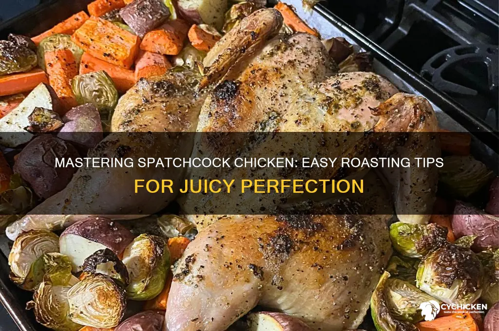 how do i roast a spatchcock chicken