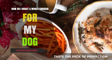 Roasting a Whole Chicken Safely for Your Dog: A Step-by-Step Guide