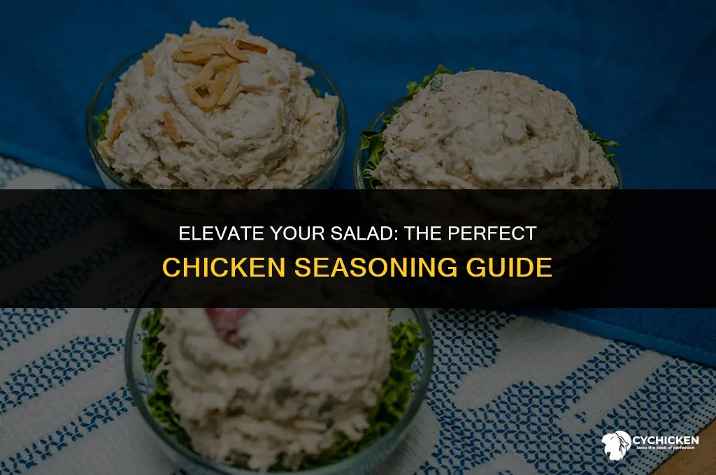 how do i season chicken for a salad