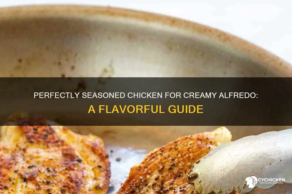 how do i season chicken for alfredo
