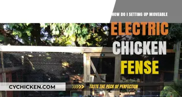 Setting Up Electric Chicken Fences: A Portable Solution