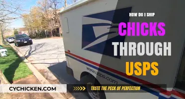 Shipping Chicks via USPS: Tips for Safe and Legal Delivery