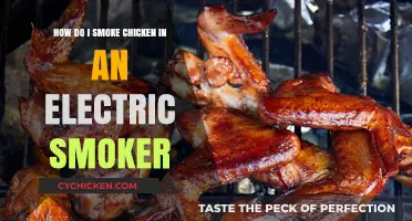 Smoking Chicken: Electric Smoker Style