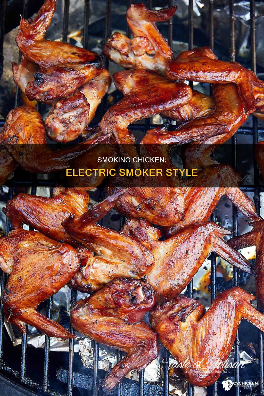 how do i smoke chicken in an electric smoker