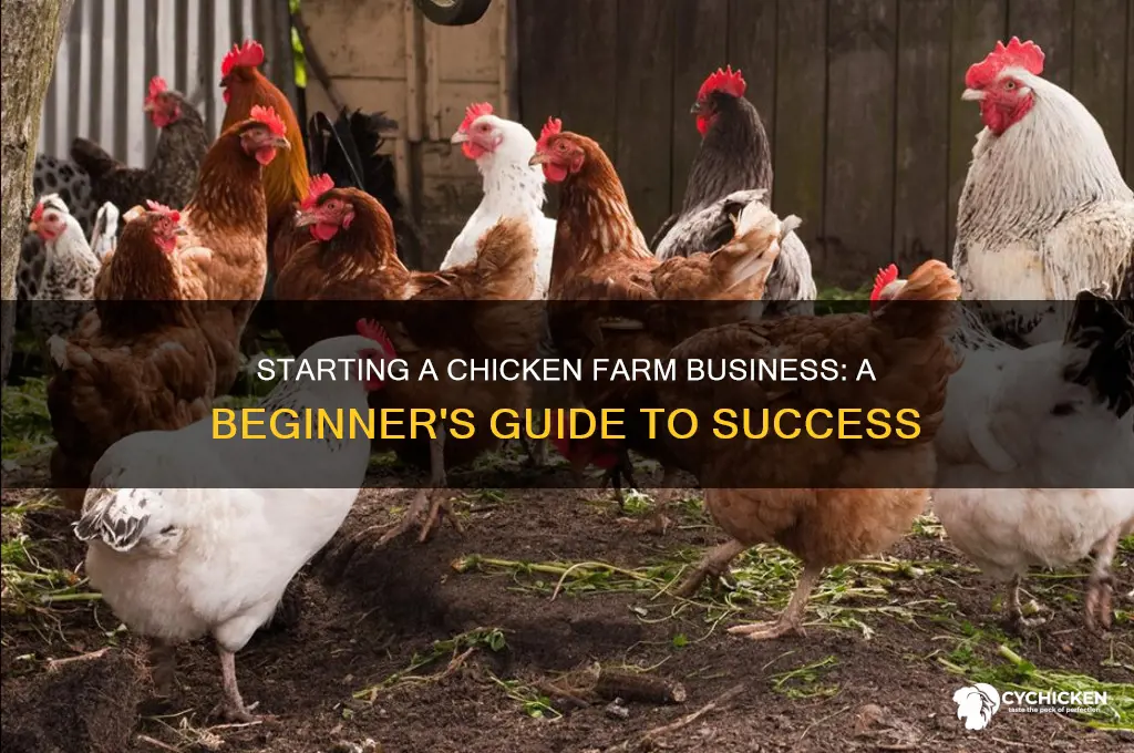 how do i start a chicken farm business