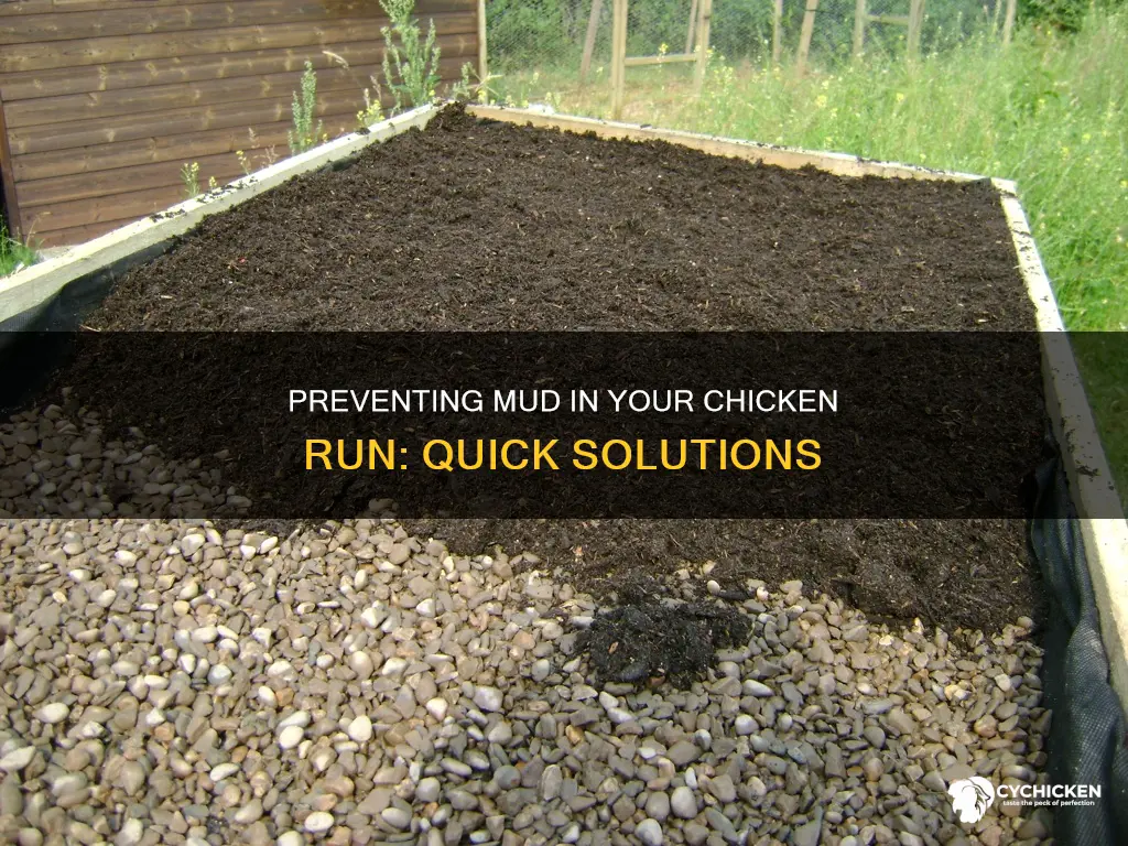 how do i stop my chicken run from being muddy