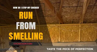 Eradicate Odors from Your Chicken Coop
