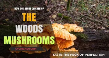 Storing Chicken of the Woods: Best Practices