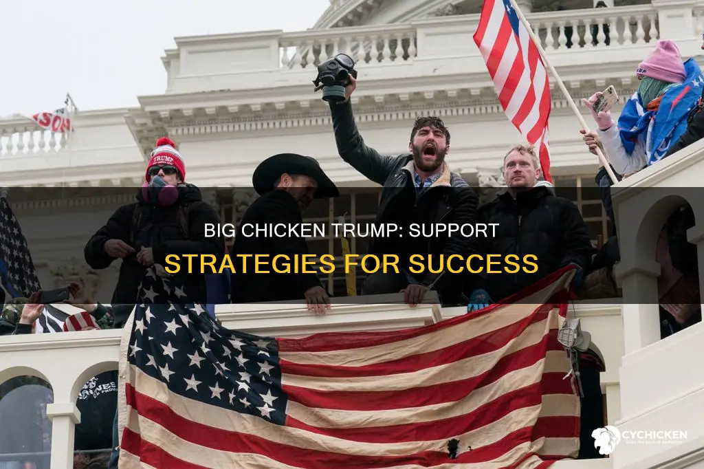 how do i support the big chicken trump on bay