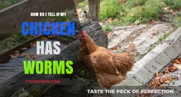 Detecting Worms in Your Chicken: What to Look For
