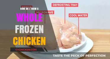 Safe and Speedy: Thawing a Whole Frozen Chicken Made Easy