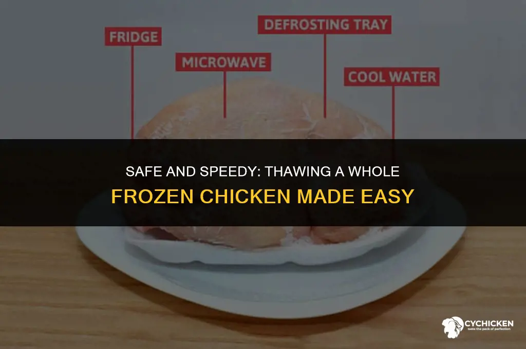 how do i thaw a whole frozen chicken
