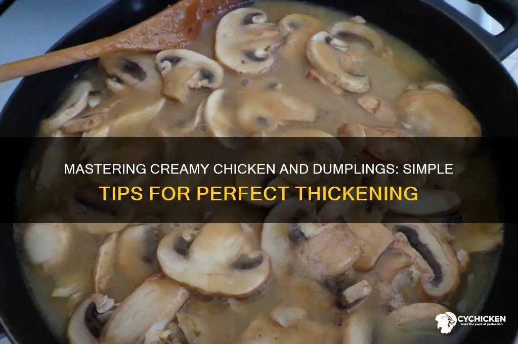 how do i thicken my chicken and dumplings