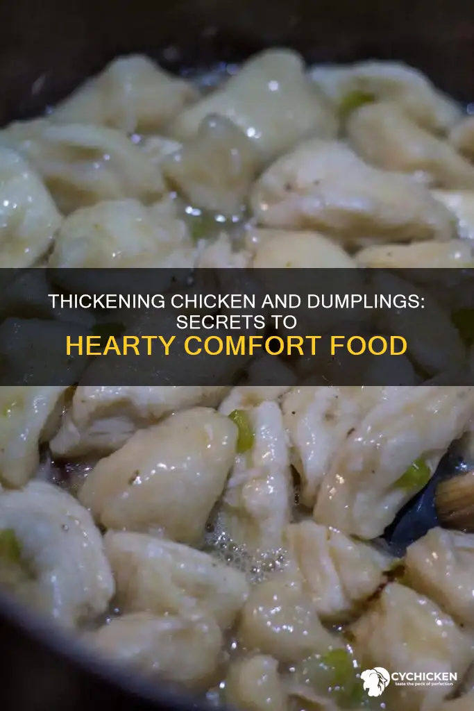 how do i thicken up my chicken and dumplings
