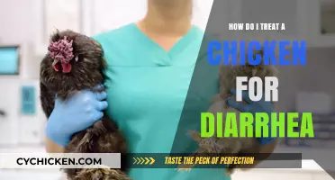 Effective Remedies for Treating Diarrhea in Chickens: A Comprehensive Guide