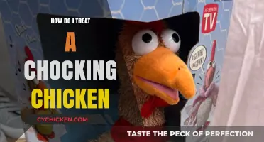 Emergency Care for Choking Chickens: Quick and Effective Treatment Tips
