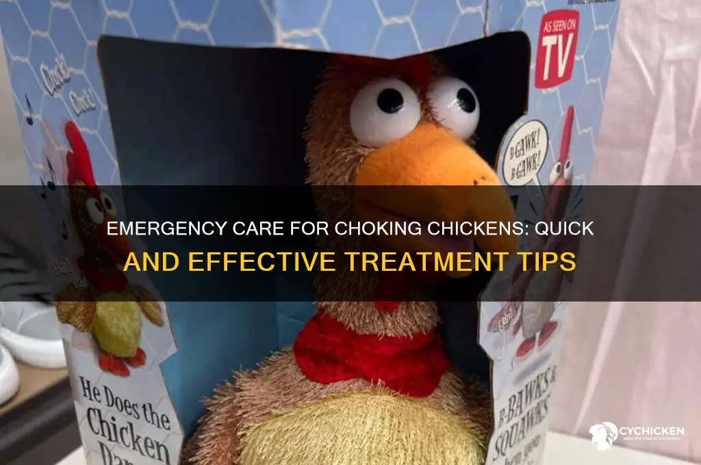 how do i treat a chocking chicken