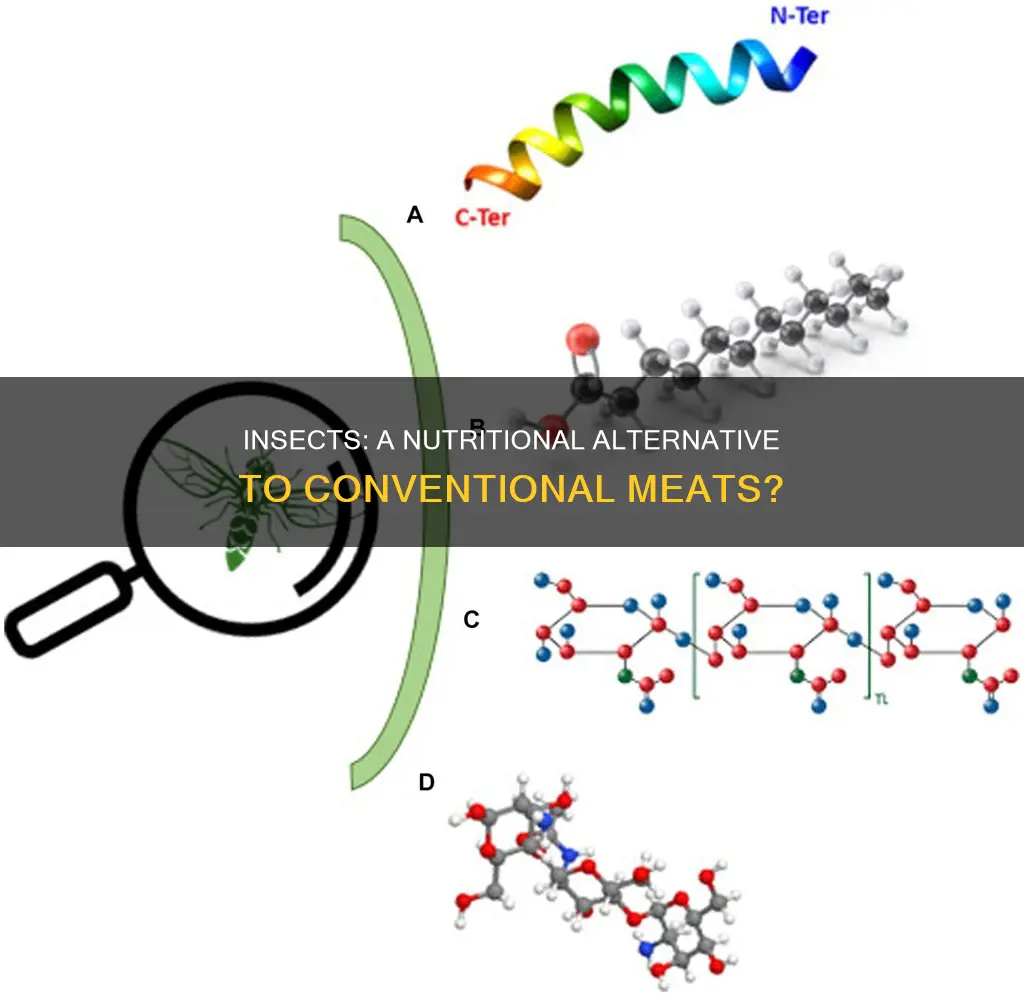 how do insects compare nutritionally to beef chicken and pork