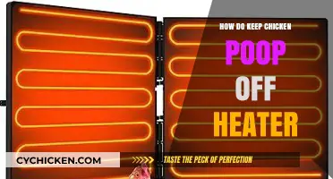 Prevent Chicken Poop on Heaters: Simple Tips for Clean Coops