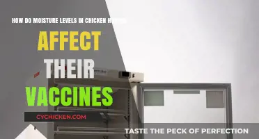 Vaccine Efficacy: Chicken Houses' Moisture Levels Matter