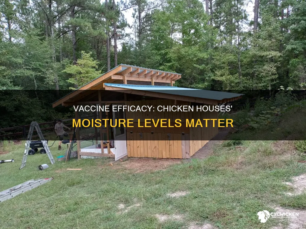 how do moisture levels in chicken houses affect their vaccines