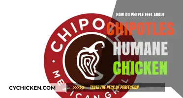 Chipotle's Humane Chicken: Consumer Opinions and Ethical Dining Trends