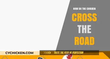 Why Did the Chicken Cross the Road? Unraveling the Mystery