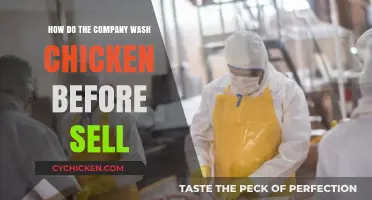 From Farm to Table: The Chicken Washing Process Explained