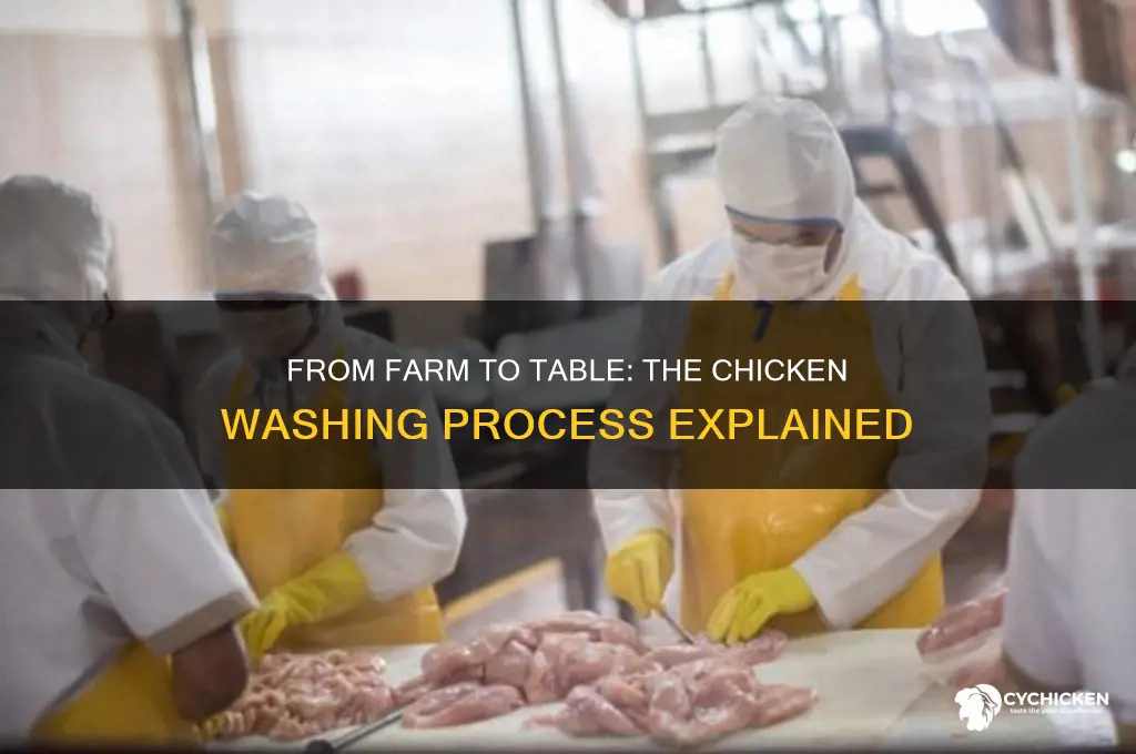how do the company wash chicken before sell