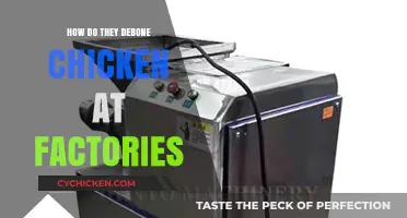Factory Chicken Deboning: The Automated Process Behind Boneless Poultry