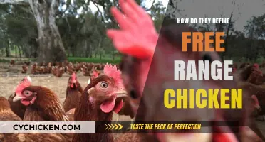 Understanding Free Range Chicken: Definitions, Standards, and Consumer Awareness