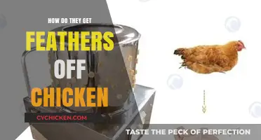 The Gentle Art of Feather Removal: A Guide to Chicken Preparation