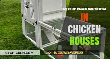 Measuring Moisture Levels: Chicken Houses' Maintenance